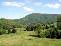 Chestnut Mill Ranch in Spring