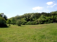 Scenic View of the Blue Ridge Mountains at Chestnut Mill Ranch