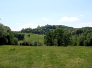 Scenic View of the Blue Ridge Mountains at Chestnut Mill Ranch