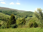 Scenic View of the Blue Ridge Mountains at Chestnut Mill Ranch