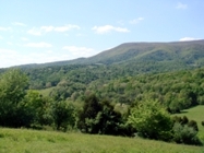 Scenic View of the Blue Ridge Mountains at Chestnut Mill Ranch