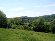 Beautiful Mountain Views On Chestnut Mill Ranch