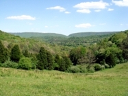 Beautiful Mountain Views On Chestnut Mill Ranch