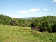 Beautiful Mountain Views On Chestnut Mill Ranch