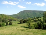 Chestnut Mill Ranch in Giles County, VA