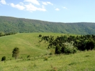 Views of the Blue Ridge Mountains from Chestnut Mill Ranch