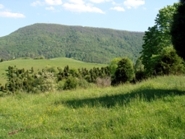 Views of the Blue Ridge Mountains from Chestnut Mill Ranch