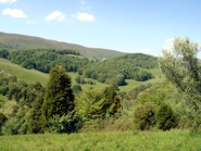 Views of the Blue Ridge Mountains from Chestnut Mill Ranch