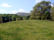 Views of the Blue Ridge Mountains from Chestnut Mill Ranch