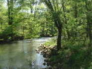 Stream at Chestnut Mill Ranch