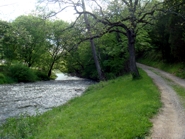 A stream runs through Chestnut Mill Ranch