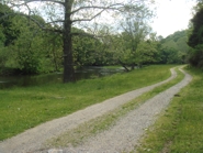 Chestnut Mill Ranch Stream