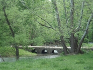 Stream on Chestnut Mill Ranch