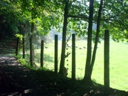 Wild Turkeys on Chestnut Mill Ranch